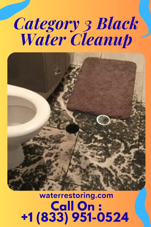Category 3 Black Water Cleanup in Hurst, TX